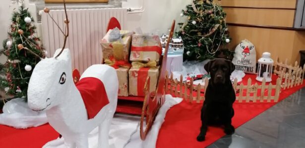 264364095 973755616547687 6949616726271439197 N